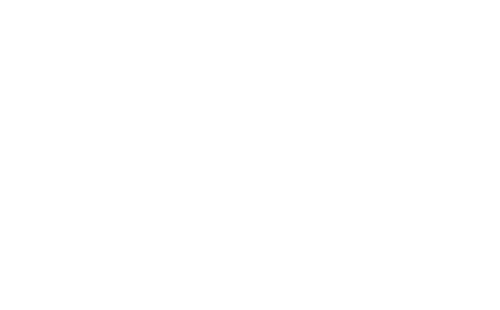 logo site travel-advise.net