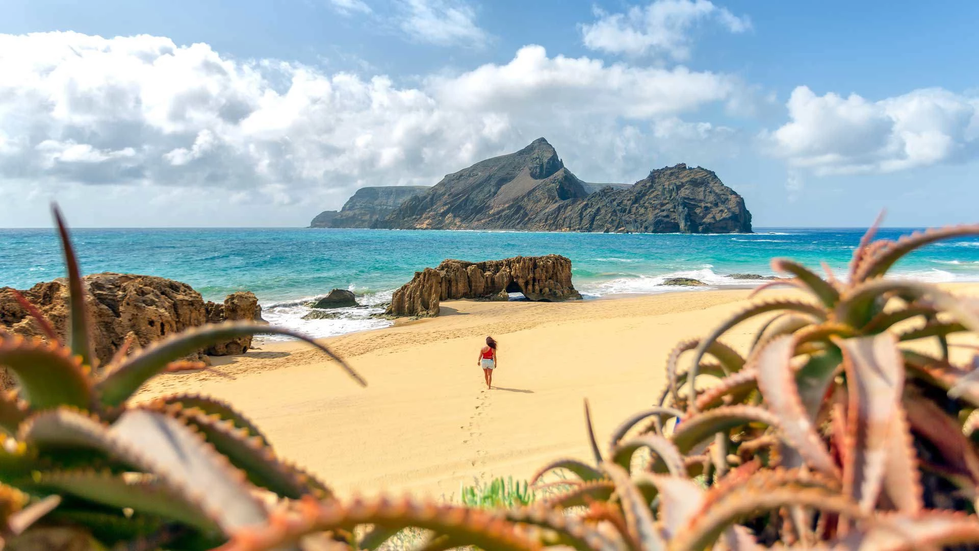 Excursions vers Porto Santo