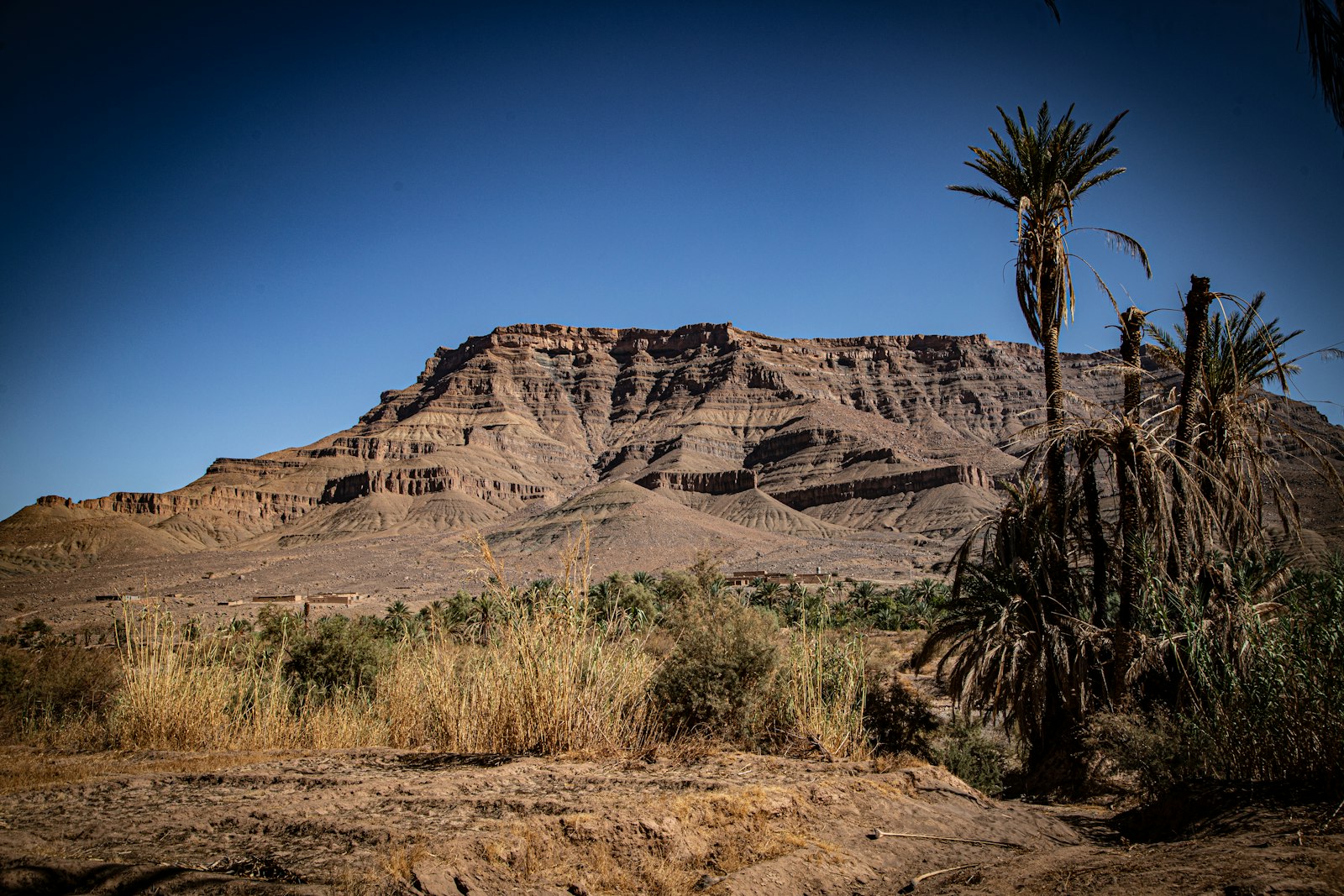 Boucle des oasis de montagne (Chebika-Mides-Tamerza)