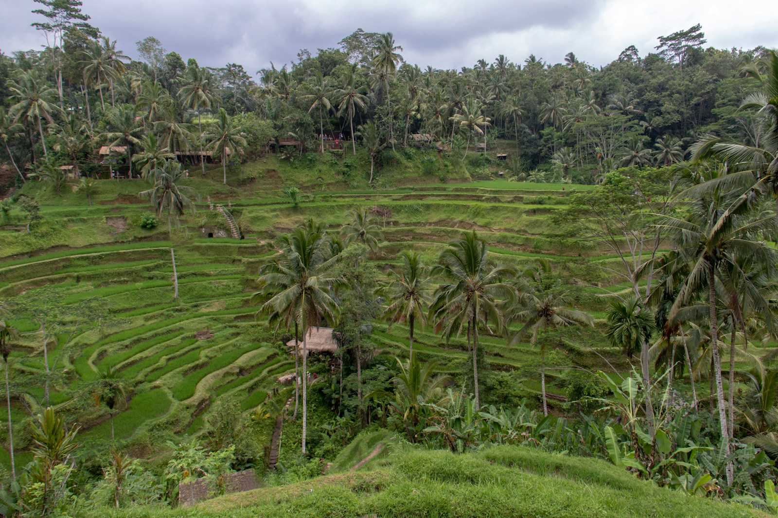 Jatiluwih UNESCO Subak