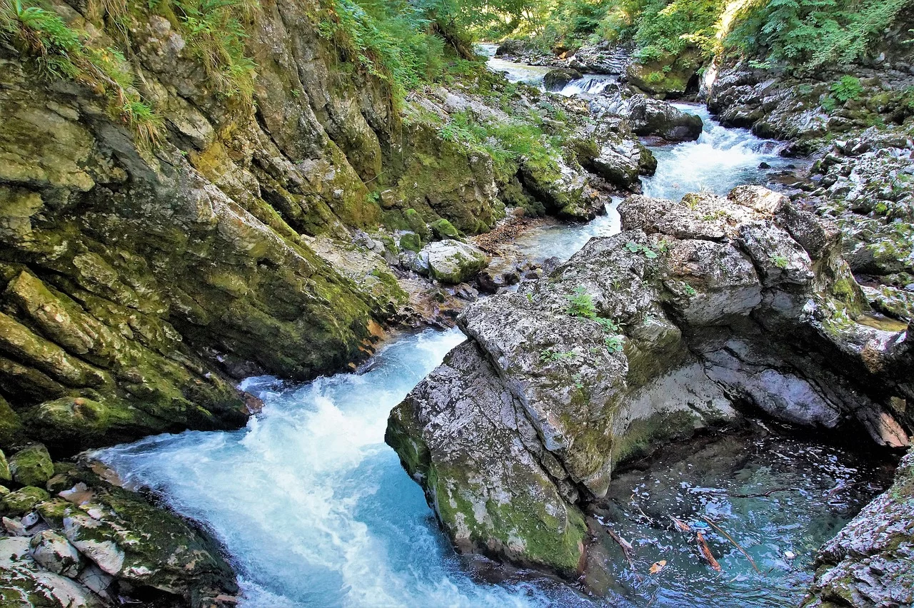 Gorges de Vintgar