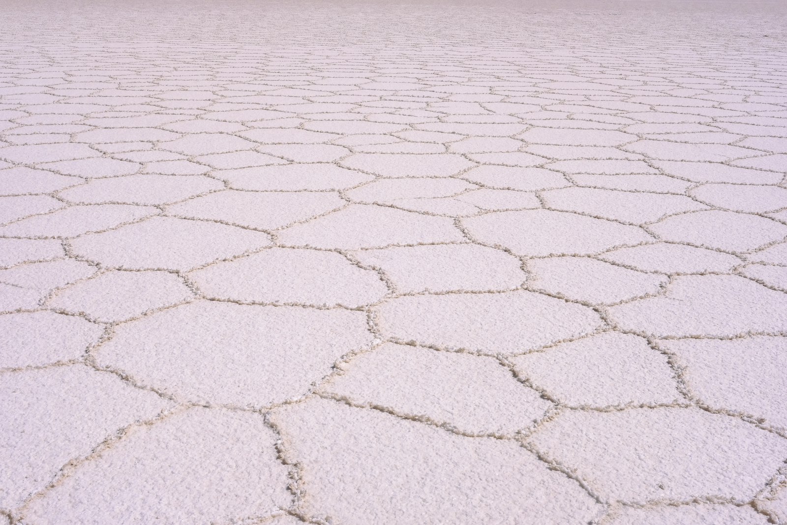 Chott el-Jerid