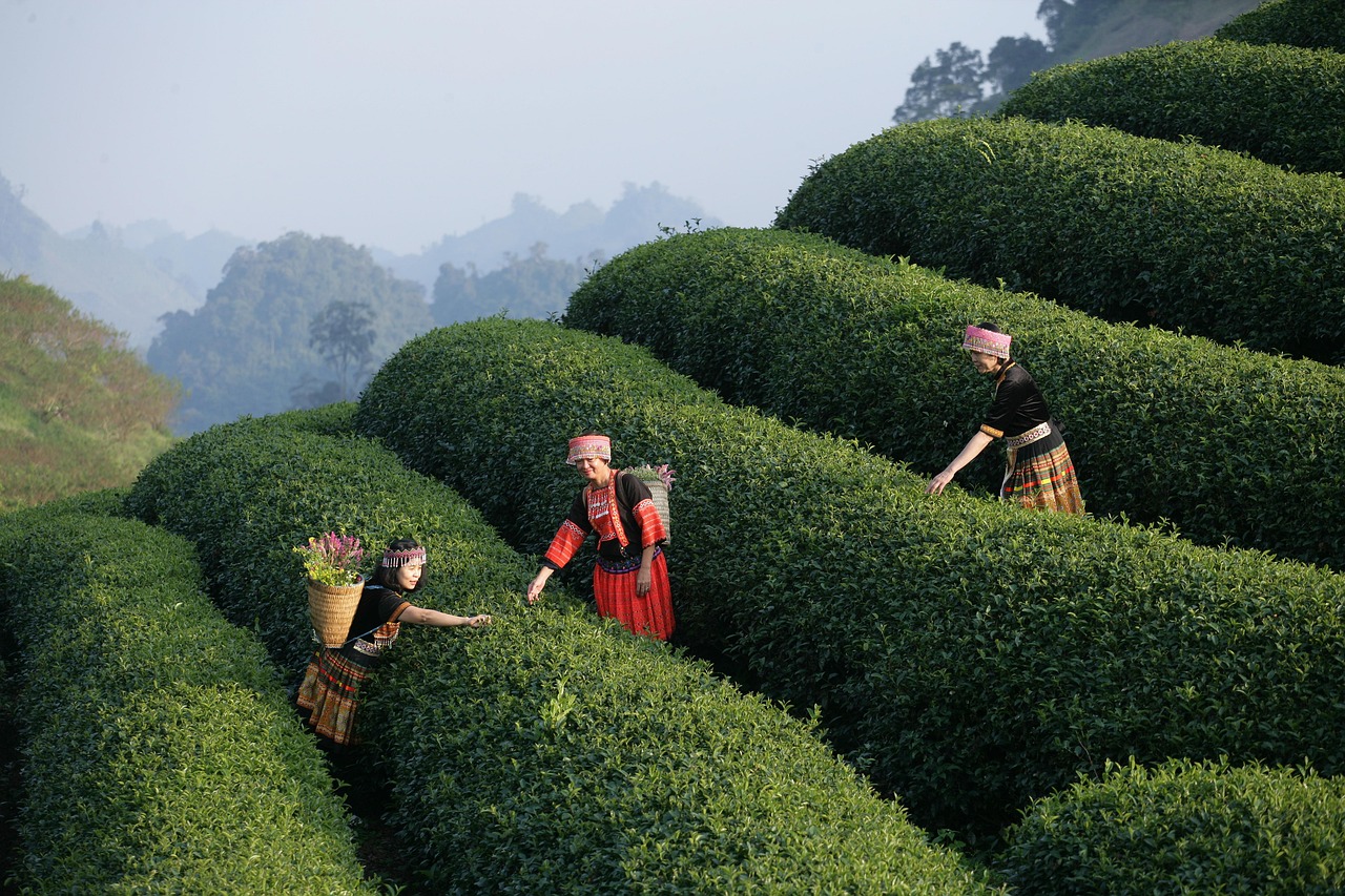 Vietnam
